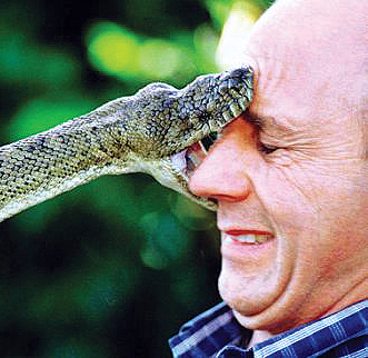snake.jpg