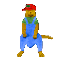 sneedcat.gif
