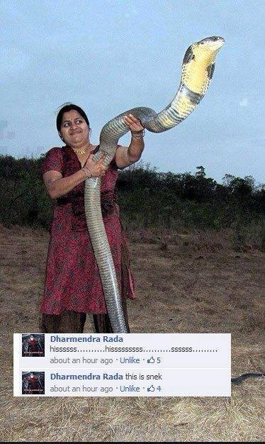 snek.jpg