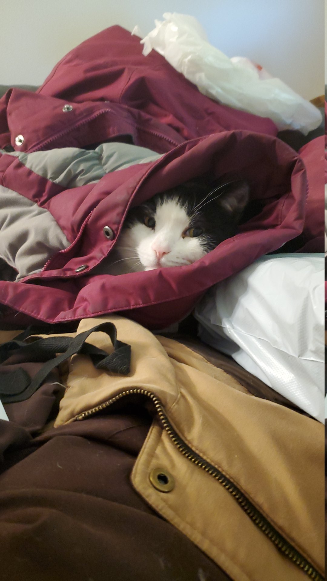 snuggly.jpg
