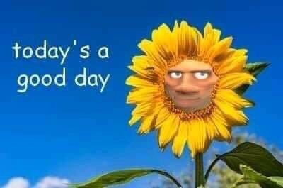 soldier flower.jpg