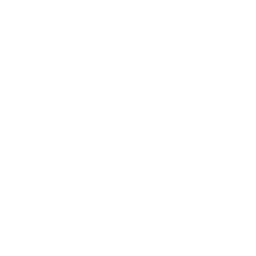 Solid256dot8_16.png