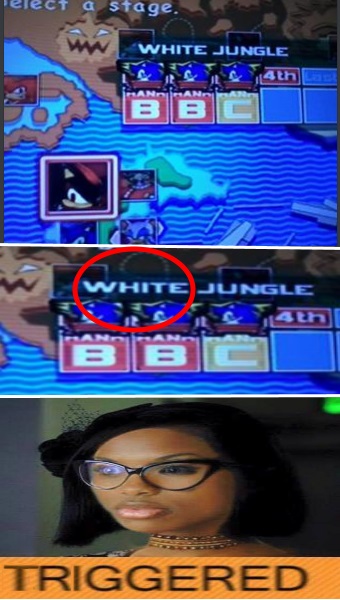 sonic white triggered.jpg