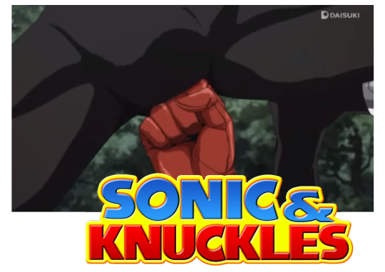 sonicandknuckles.png