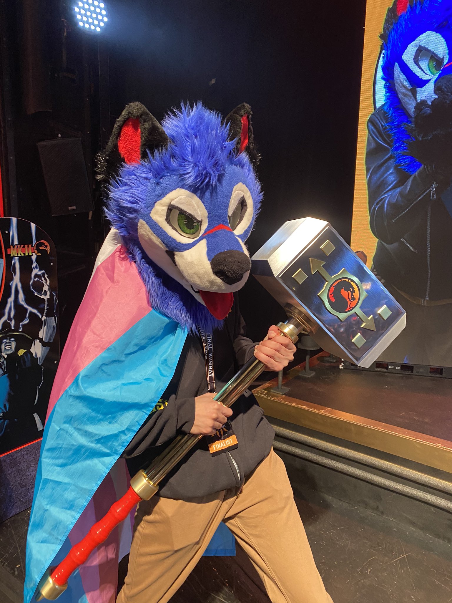 sonicfag.jpg