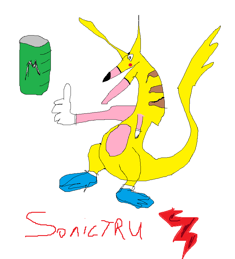 sonictru.png