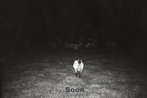 soon.jpg