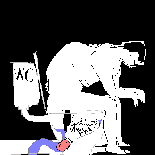 soy - Copy.png