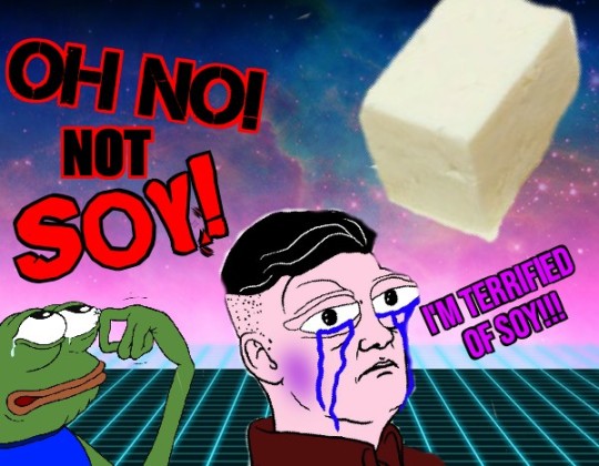 soy.jpg