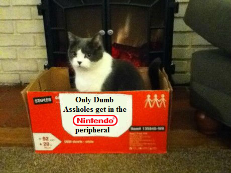 soycat.png