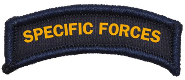 specific_forces.png