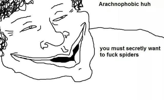 spiders.jpg
