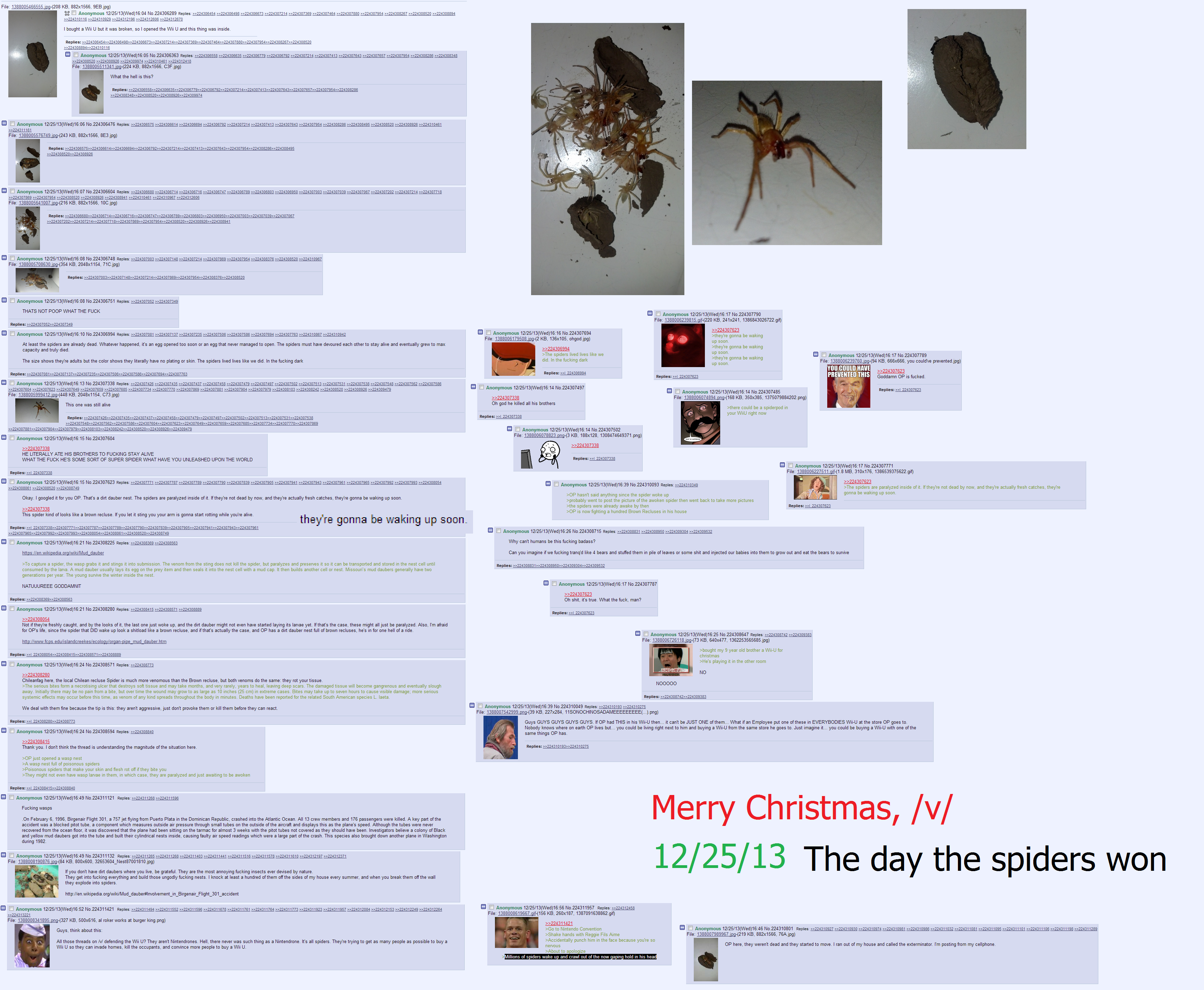 spiders.png
