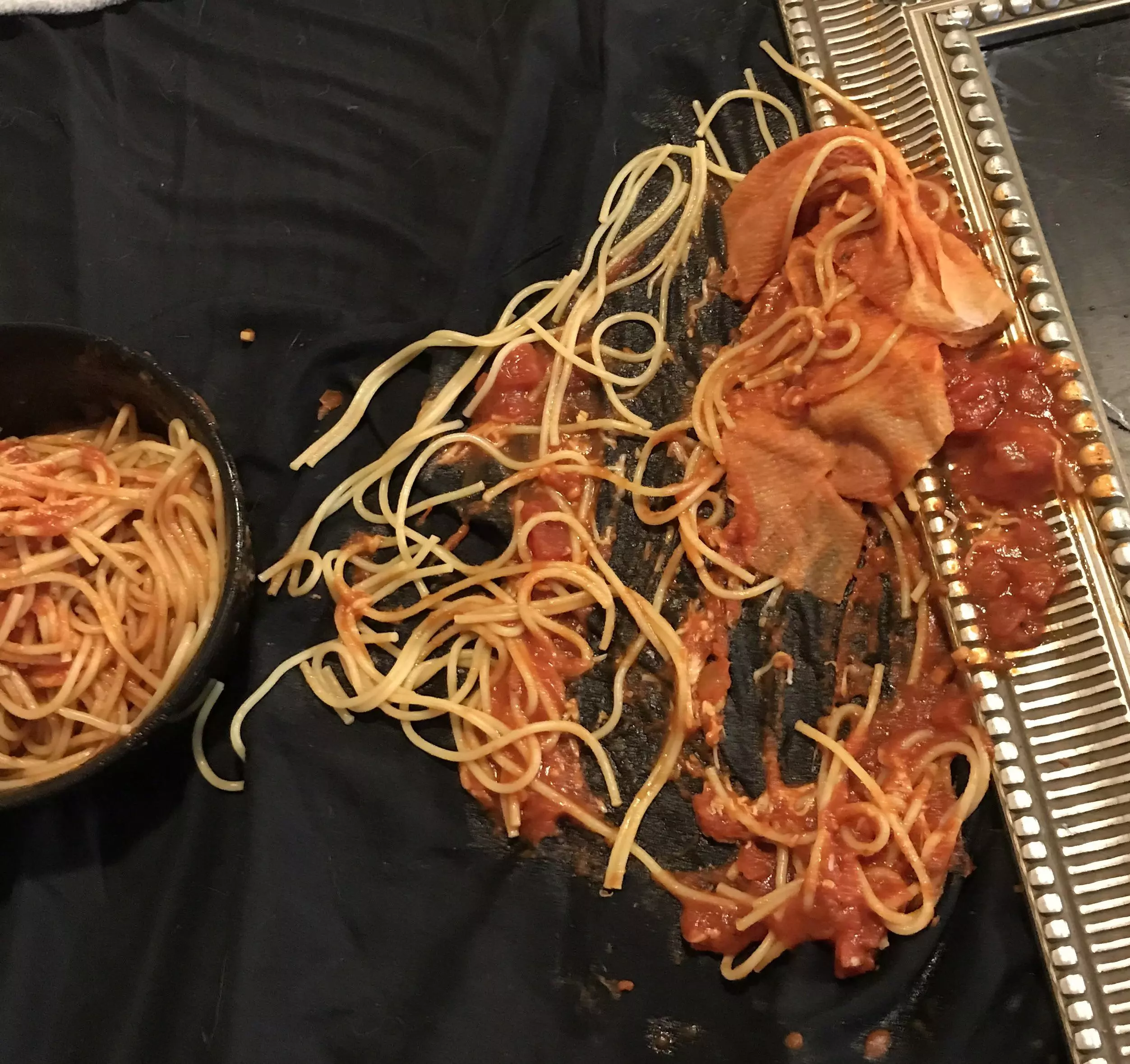 spilling spaghetti.webp