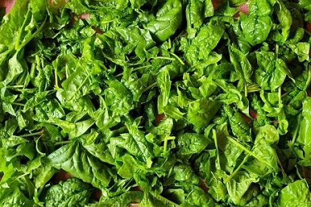 Spinach.jpg