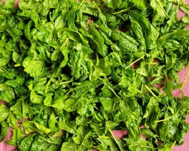 Spinach2.jpg