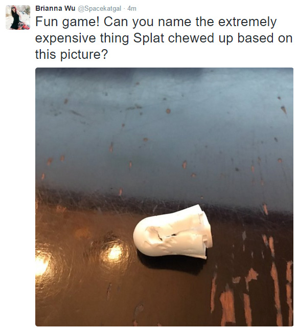 splat.jpg