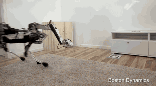 spot2.gif