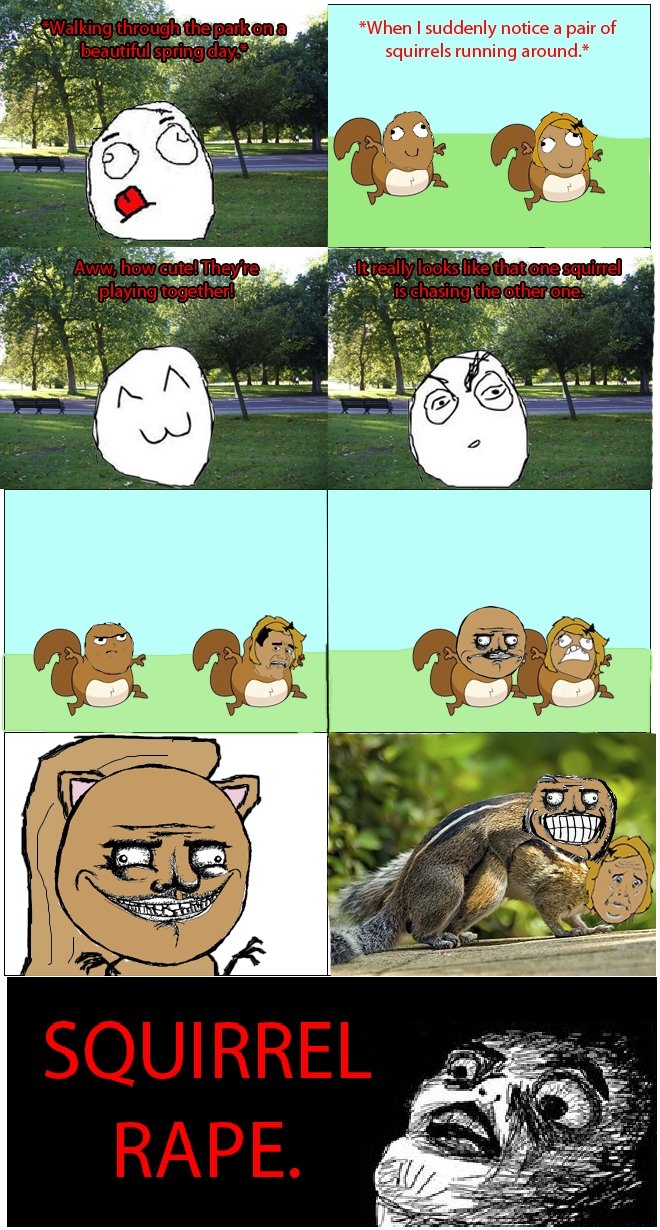 Squirrel_88093f_1961911.jpeg