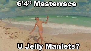 ss.gif