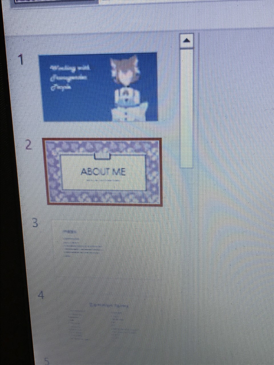 ss2.jpg