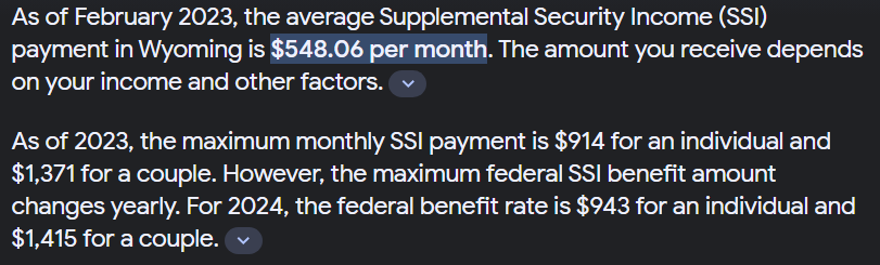 SSI PAYMENT.PNG