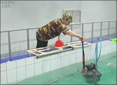 ssseal3.gif