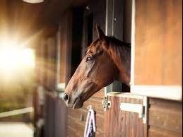 stable.JPG