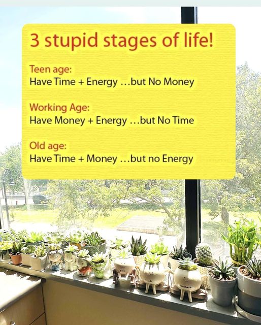 stages.jpg