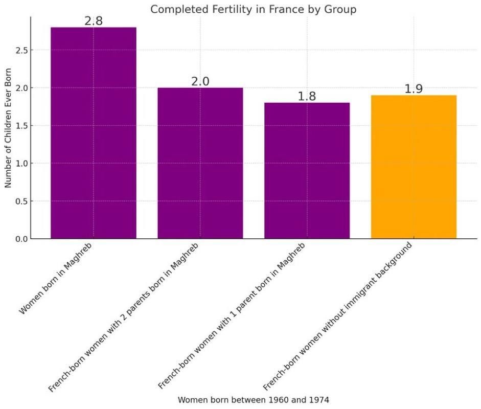 statsSecondGenMaghrebDontBreed.jpg