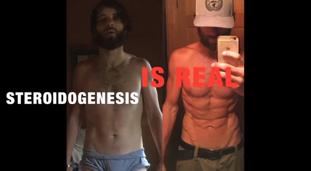 steroidogenesis.jpg