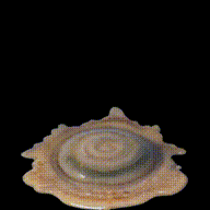 sticker (1).gif