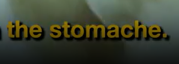 stomache.png