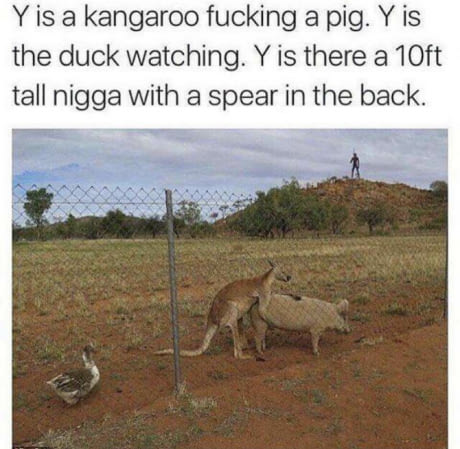 stralia.jpg