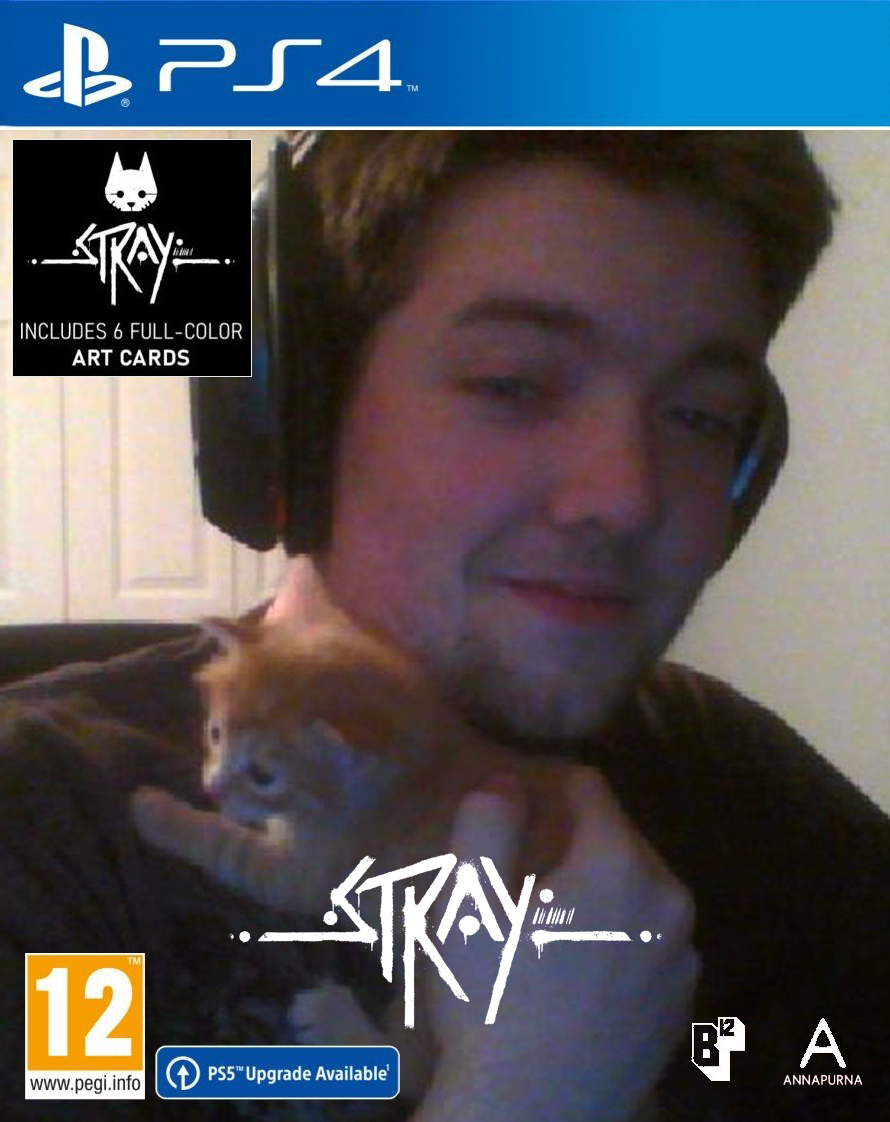 Stray.jpg