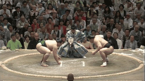 sumo_crunch.gif