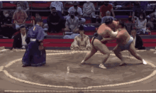 sumo_funny.gif