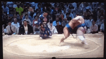 sumo_grace.gif