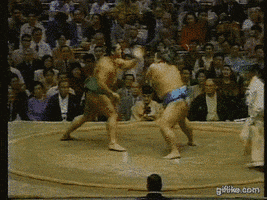 sumo_punch.gif