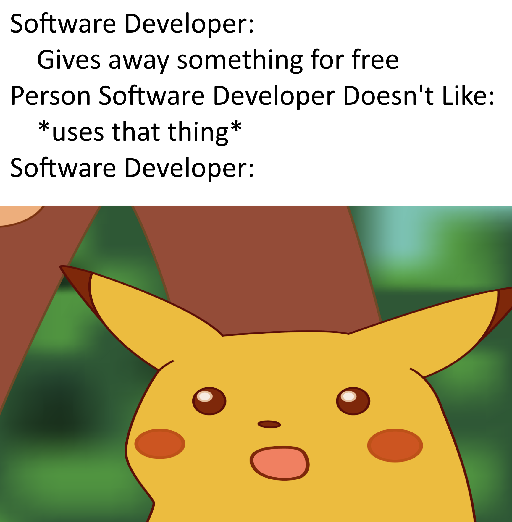 SurprisedSoftwareDev.png