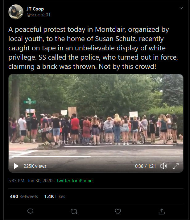 susan protest .png