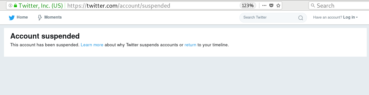 suspended1.png