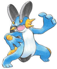 swampert.png