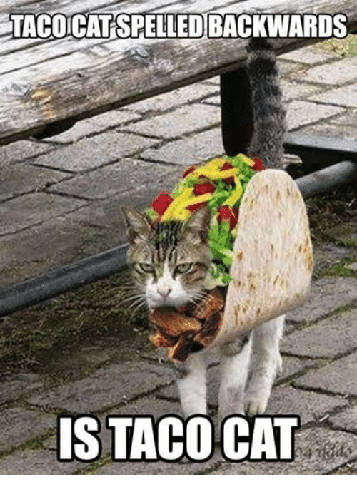 taco.png