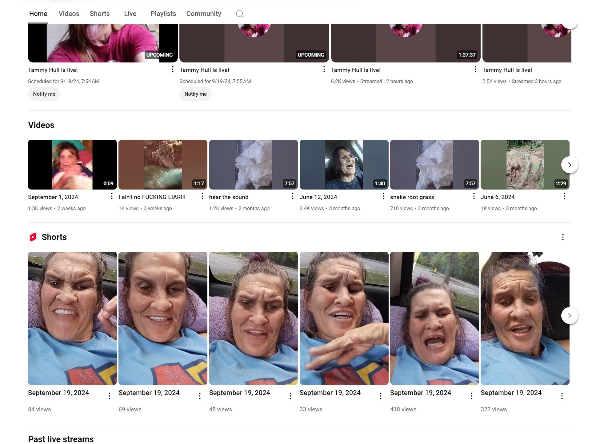 tammy.png
