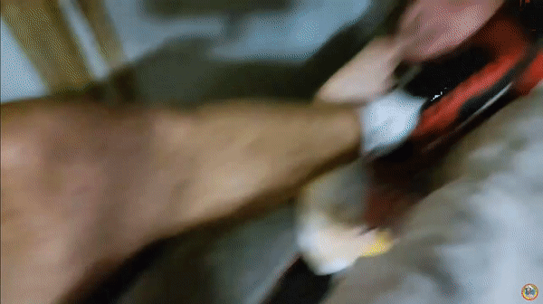tard press.gif