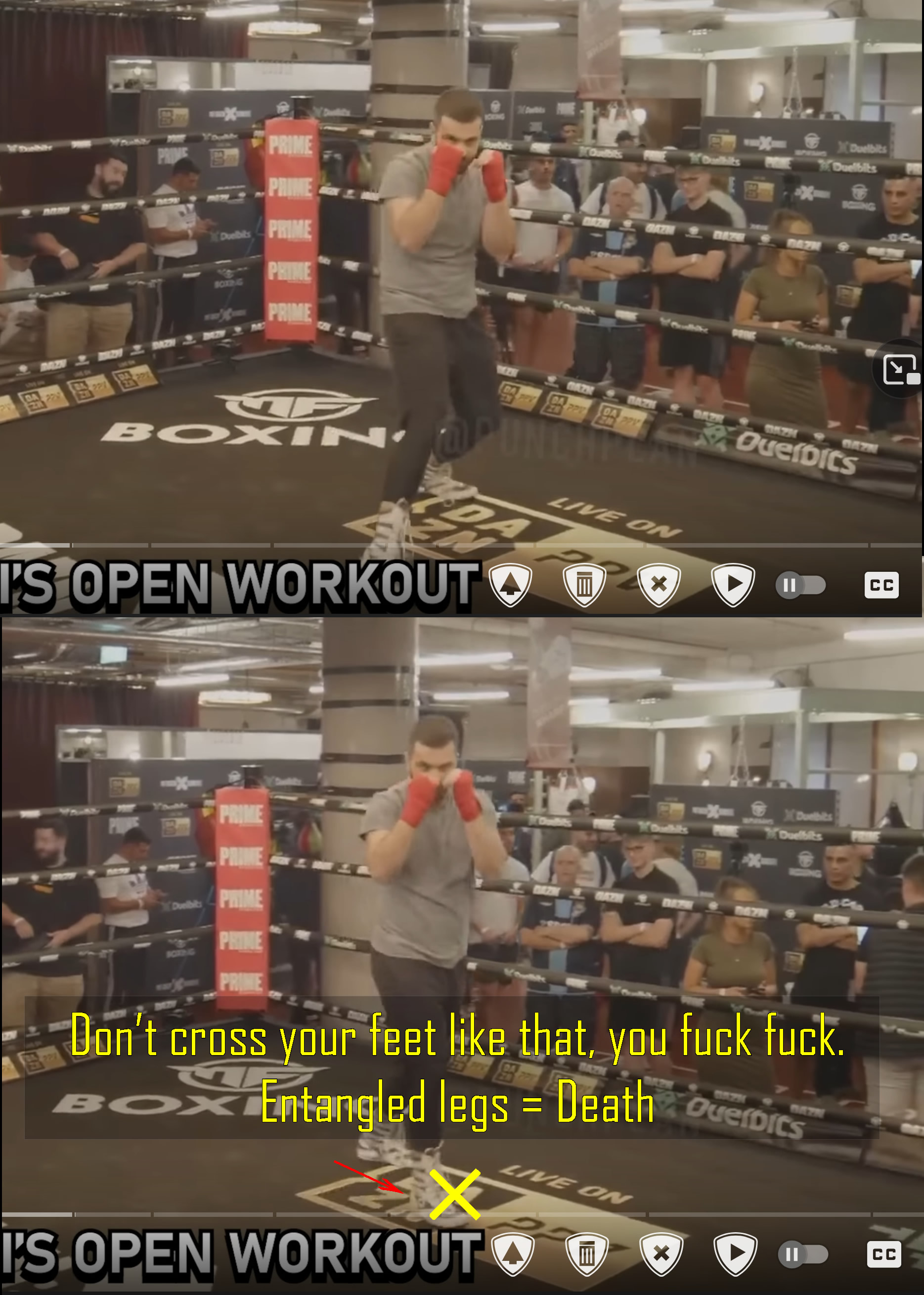 tardski2.jpg
