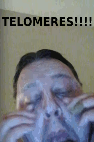telo1.gif