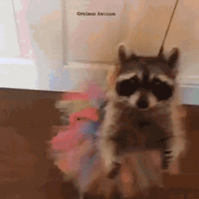 tenor (45).gif