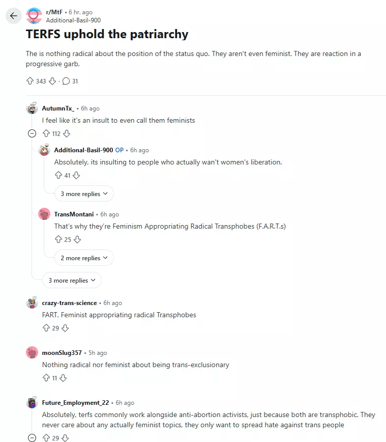 TERFSpatriarchy.webp